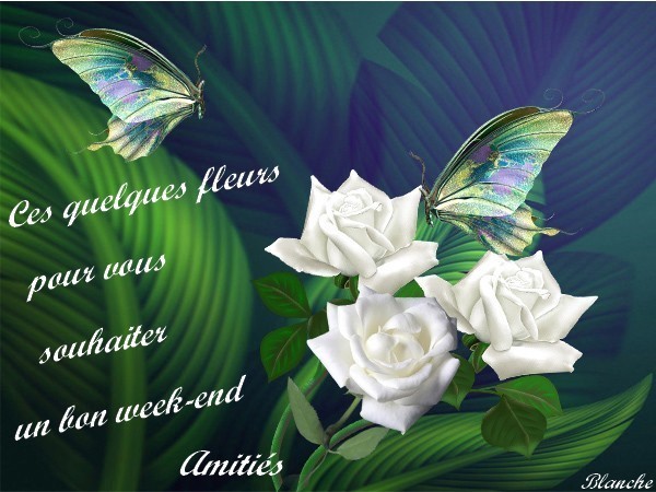 BON WEEK-END AMIES § AMIS