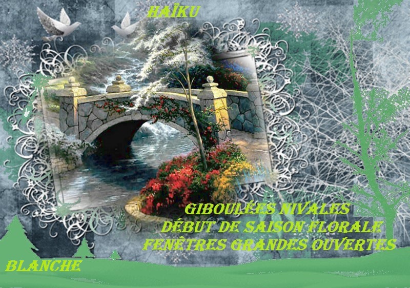 HAÏKU DE PRINTEMPS